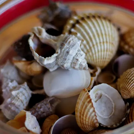 Campo Varone Casa de Férias Minturno