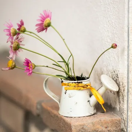 Campo Varone * Minturno